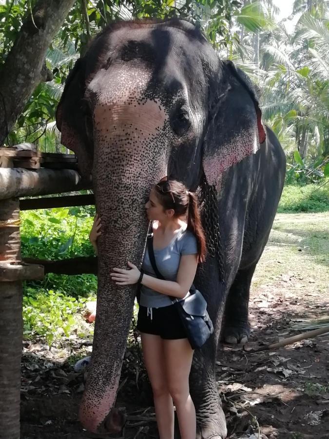 Rainbow Beach Resort Ambalangoda  Buitenkant foto